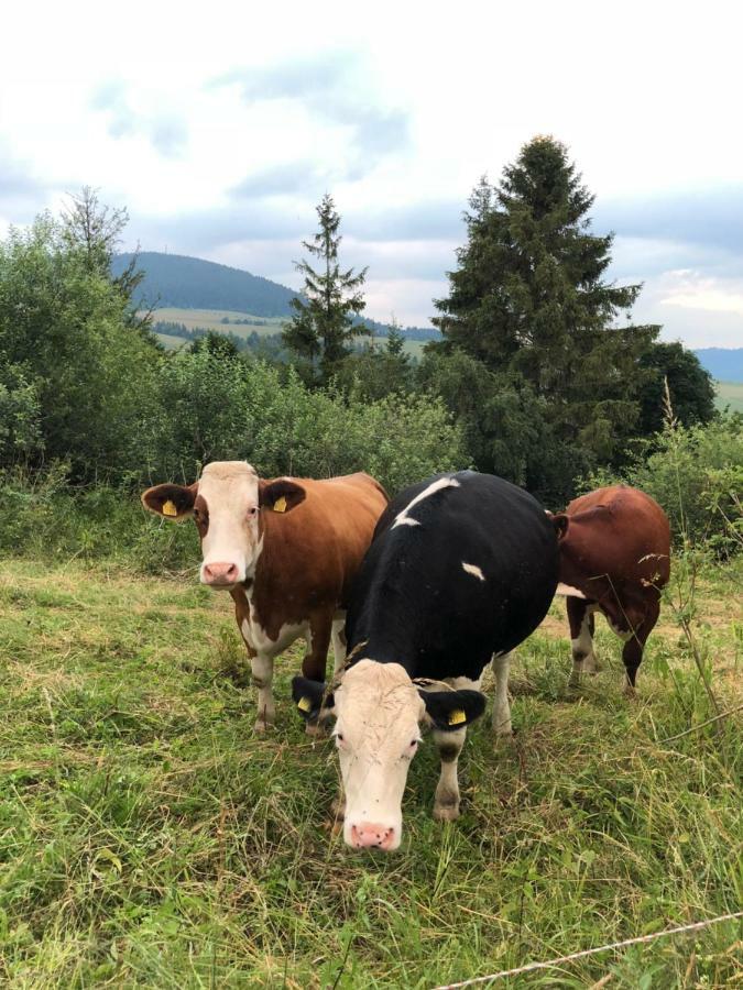 Rekreacny Dom Sablatura Villa Zuberec Eksteriør bilde